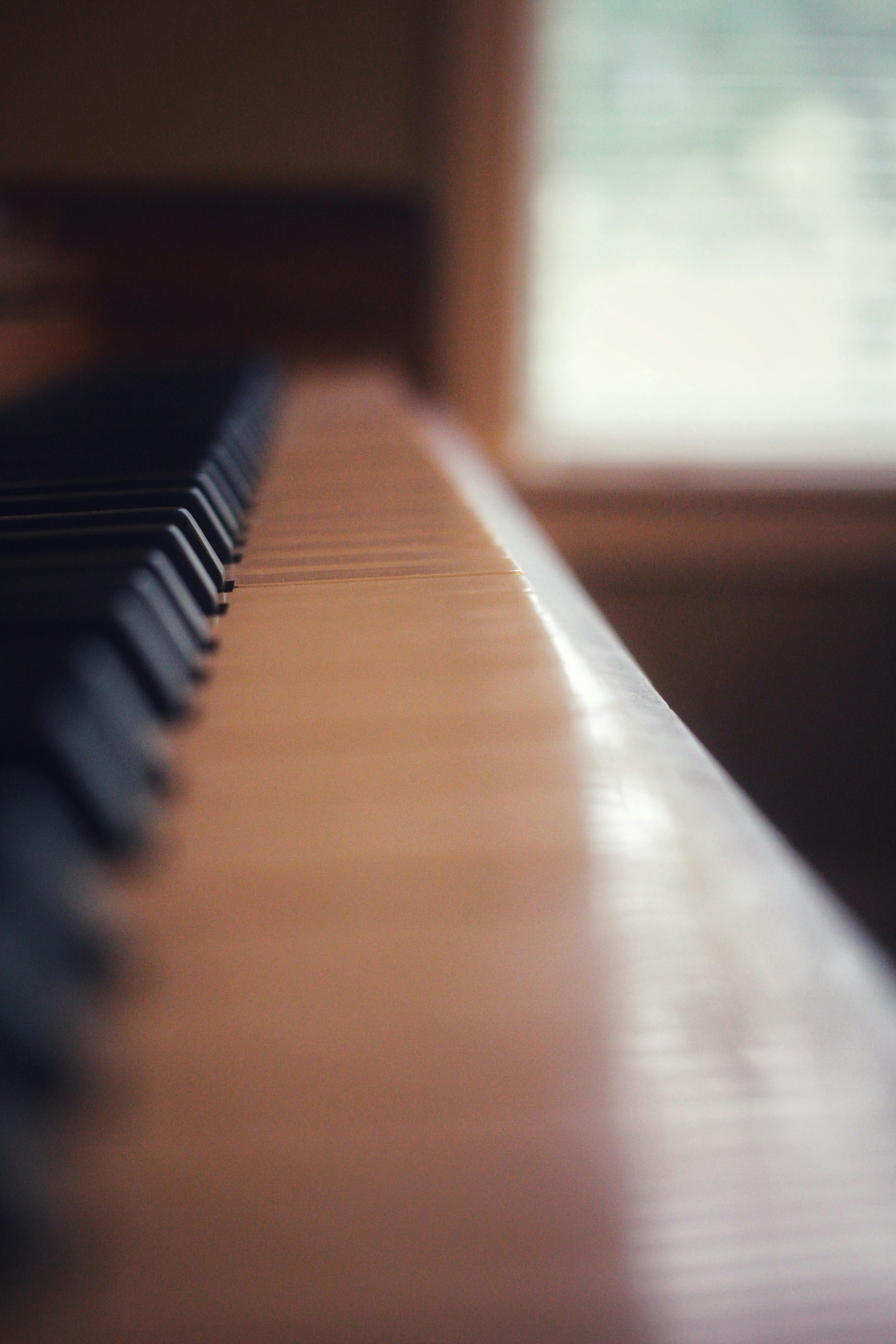 Top digital piano brands by Piano Brands brown wooden piano keys in close up photography